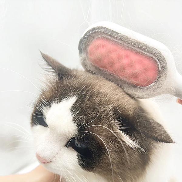 Pettine per la rimozione del pelo con serbatoio d'acqua integrato per animali domestici