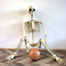 GhoulGuard | 170cm life-size Halloween skeleton – movable decoration for a spooky haunted house and garden
