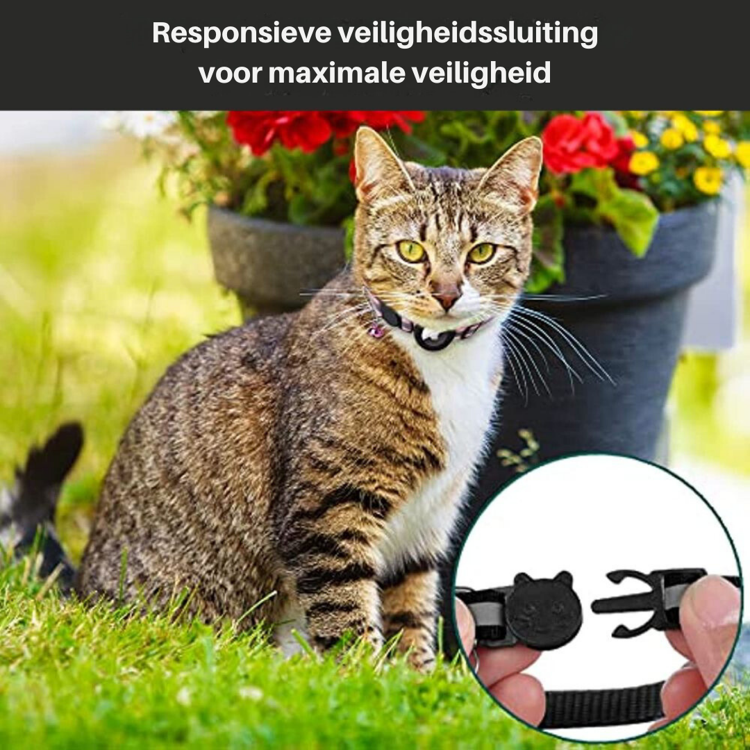 CAT GPS tracker collar with quick-release fastener and reflective design for improved night visibility