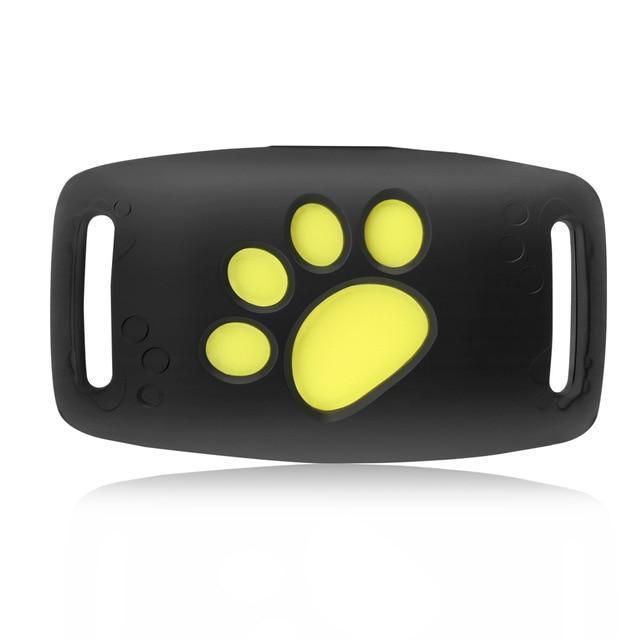 Système de suivi GPS pour chat avec mises à jour de localisation en temps réel - compact et léger