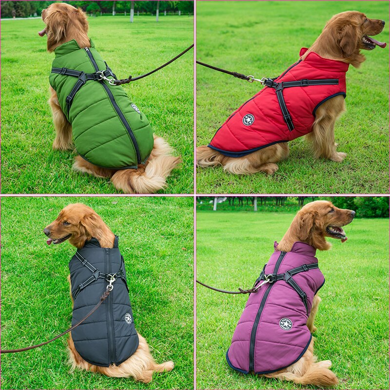 Winter jacket for dogs