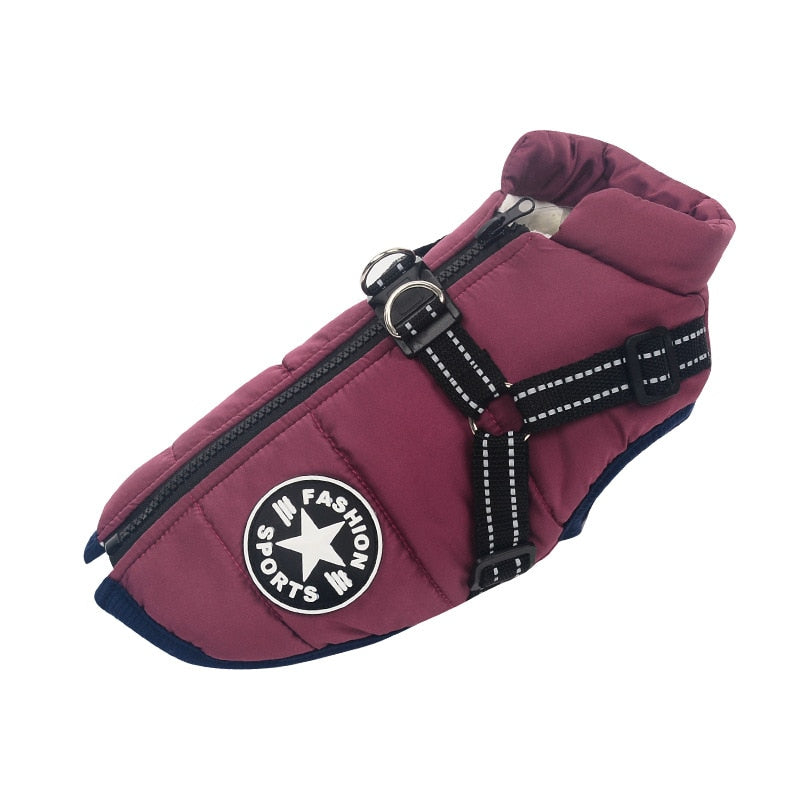 Winter jacket for dogs