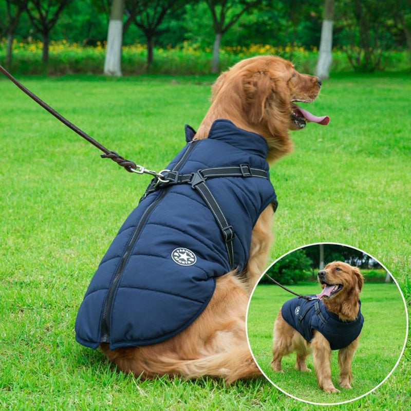 Winter jacket for dogs