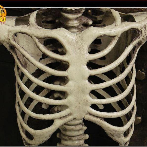 GhoulGuard | scheletro di Halloween a grandezza naturale 170cm – decorazione mobile per una casa infestata e giardino spettrali
