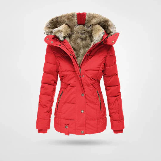 Hooded Quilted Puffer Jacket for Women - Image 3
