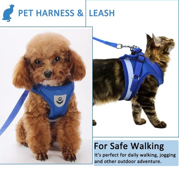 Adjustable, breathable, luminous cat harness
