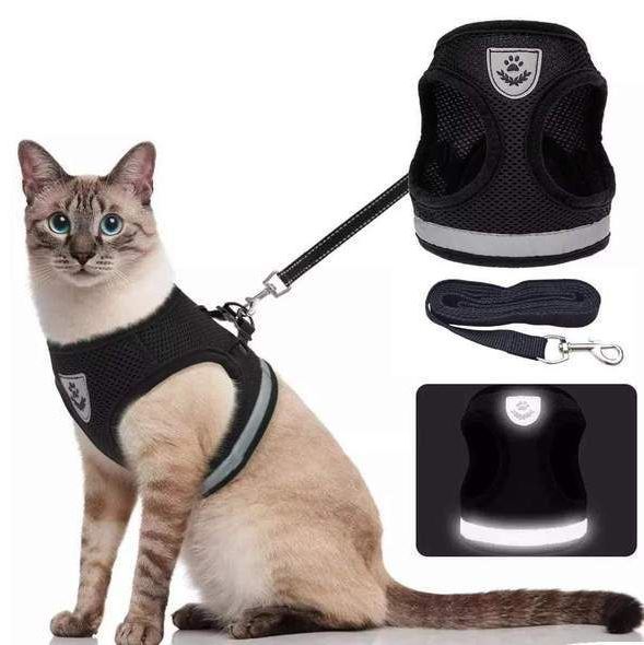 Adjustable, breathable, luminous cat harness