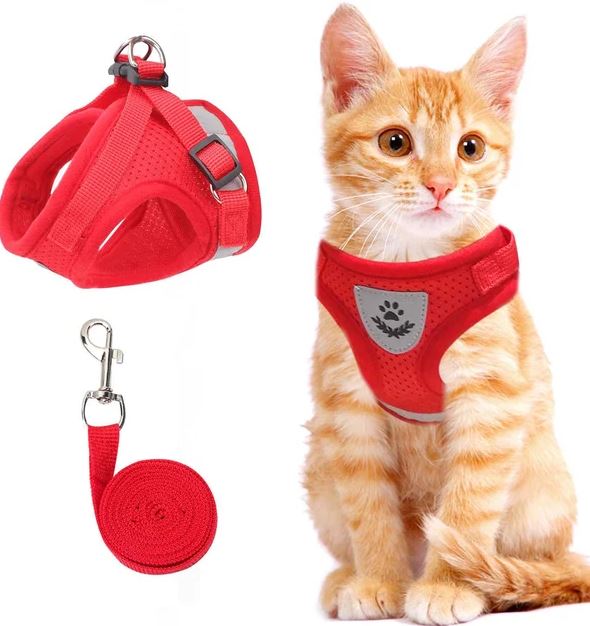 Adjustable, breathable, luminous cat harness