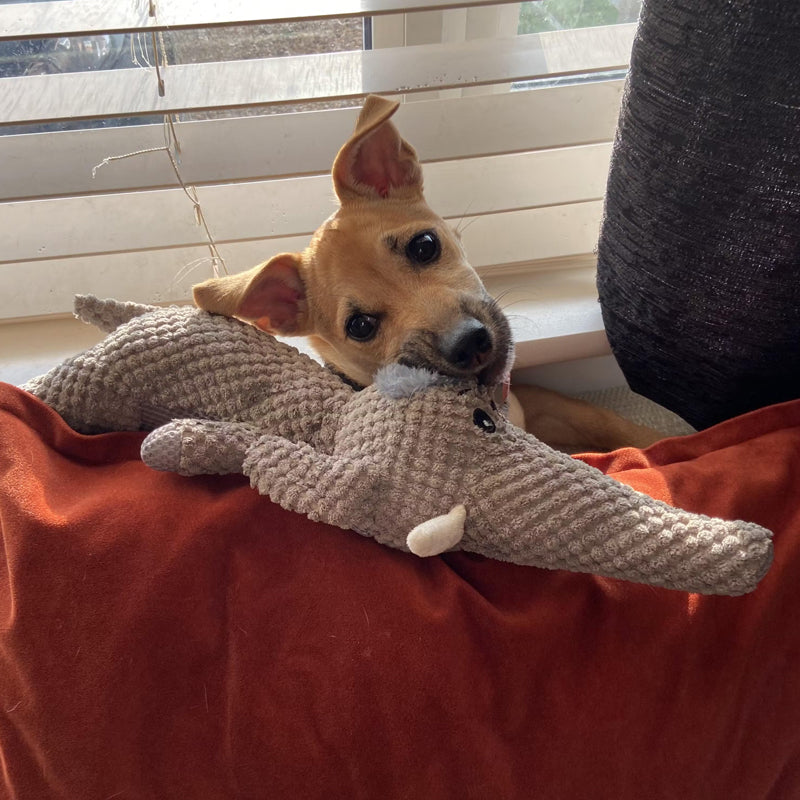 Gioco per cani extra resistente - Giocattolo da masticare in peluche durevole per cani attivi