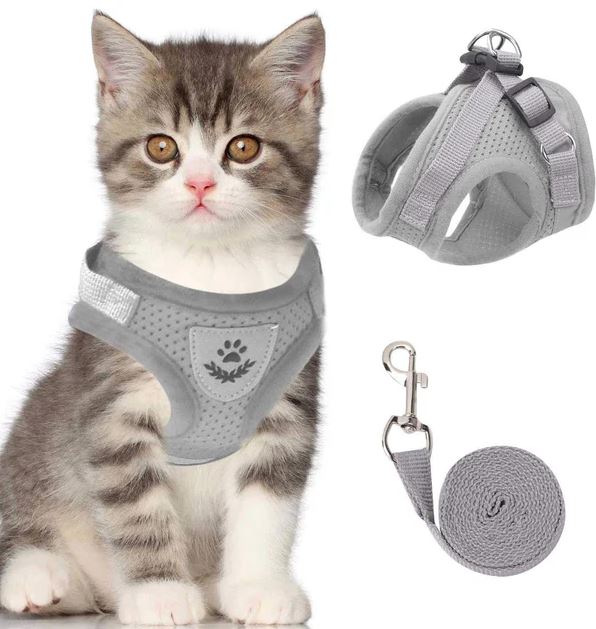 Adjustable, breathable, luminous cat harness