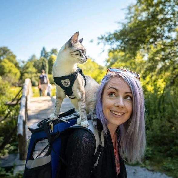 Adjustable, breathable, luminous cat harness