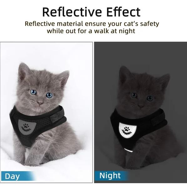 Adjustable, breathable, luminous cat harness