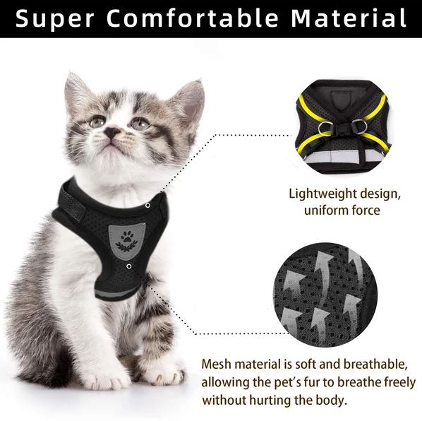 Adjustable, breathable, luminous cat harness