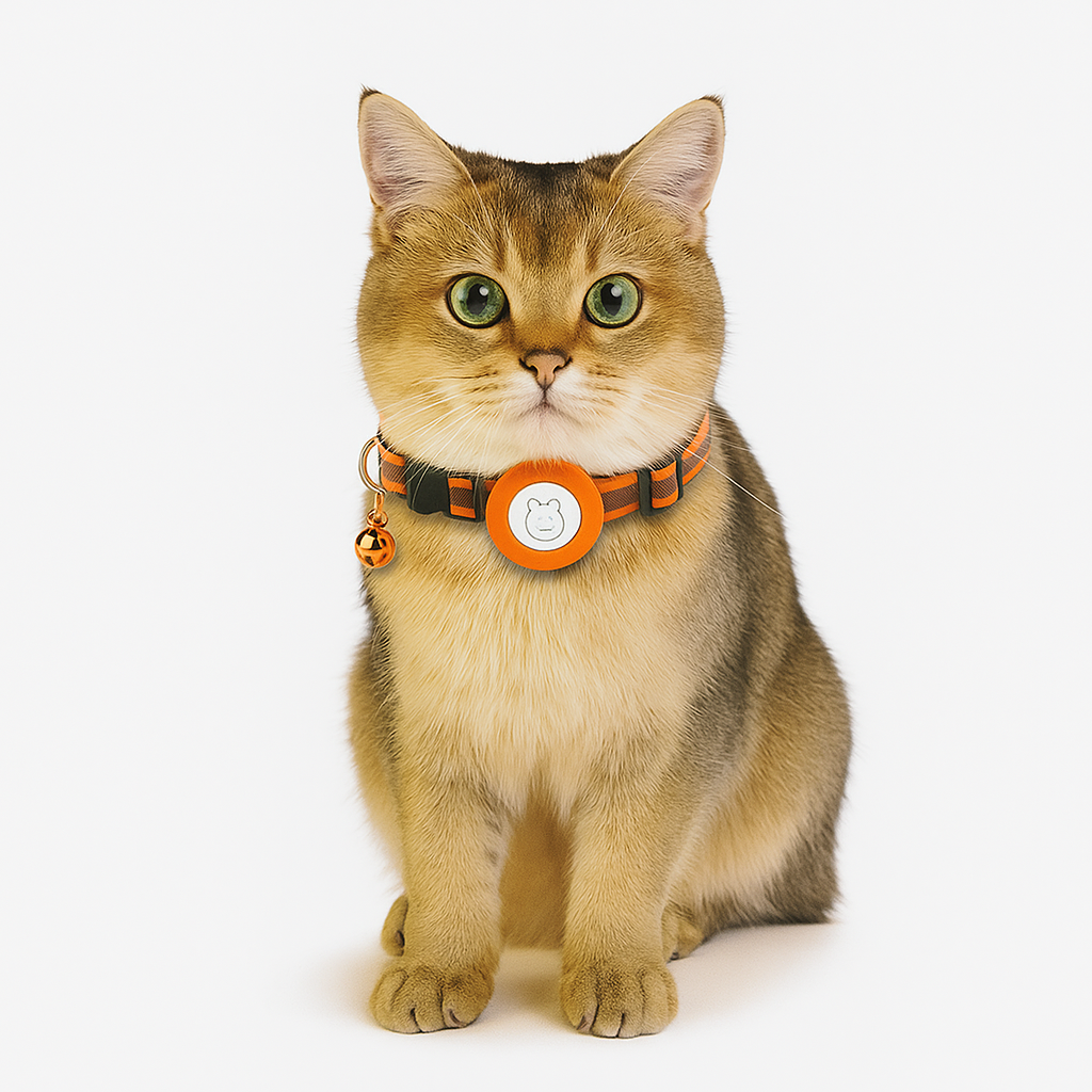 Cat GPS tracker 