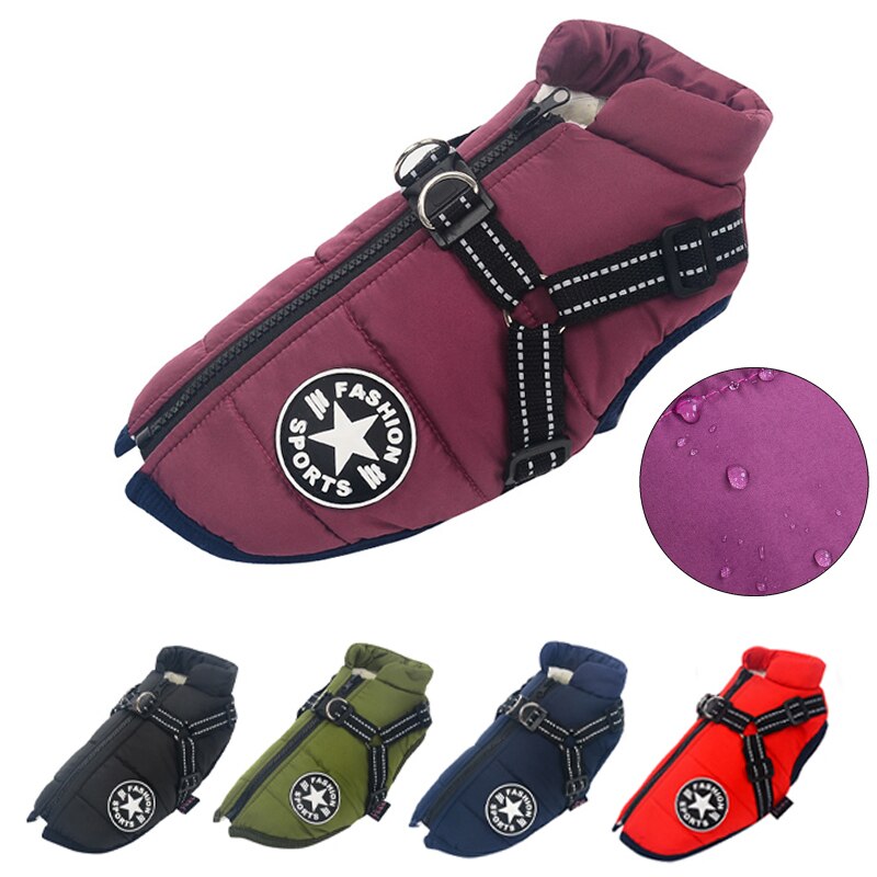 Winter jacket for dogs