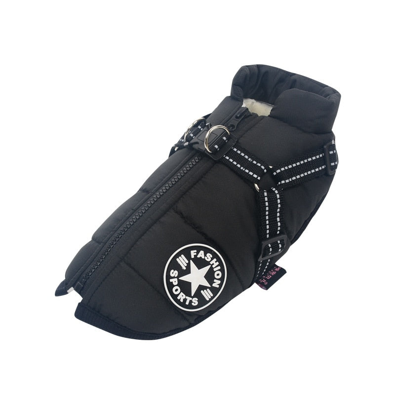Winter jacket for dogs