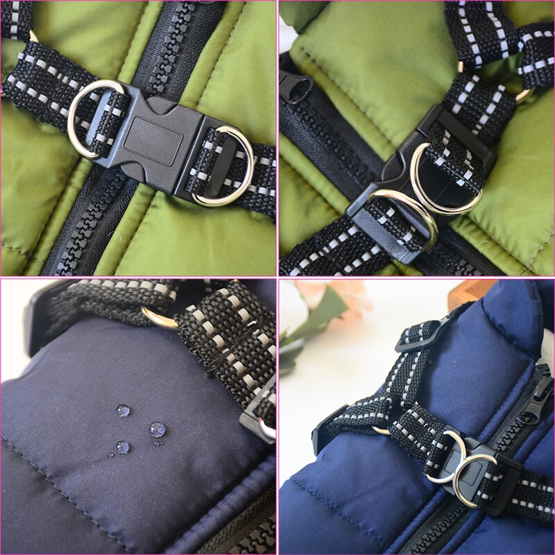 Winter jacket for dogs