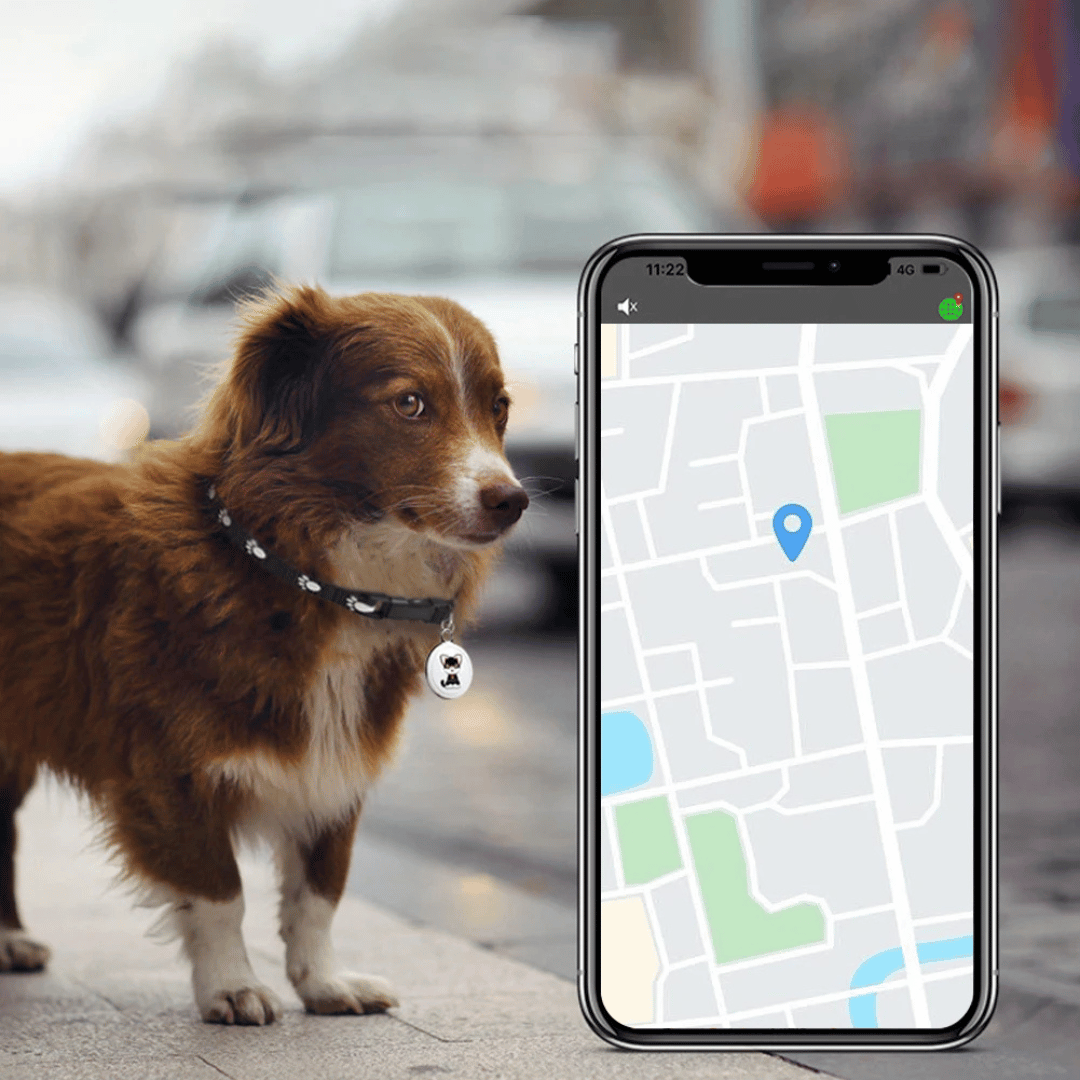NARA - localizzatore GPS per animali domestici con Bluetooth e design impermeabile - Compatto e leggero per la sicurezza