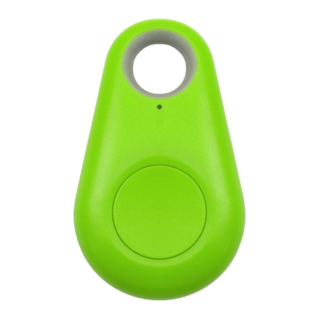 Pet GPS tag - PawFinder