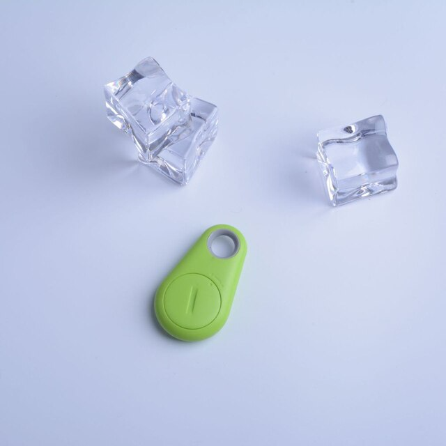 Pet GPS tag - PawFinder