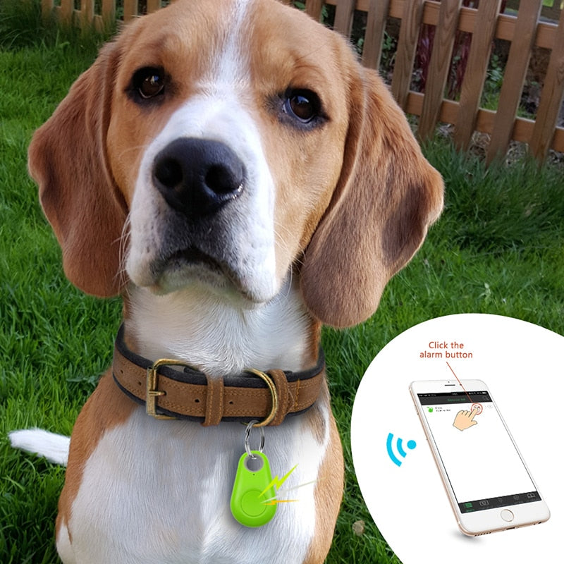 Pet GPS tag - PawFinder