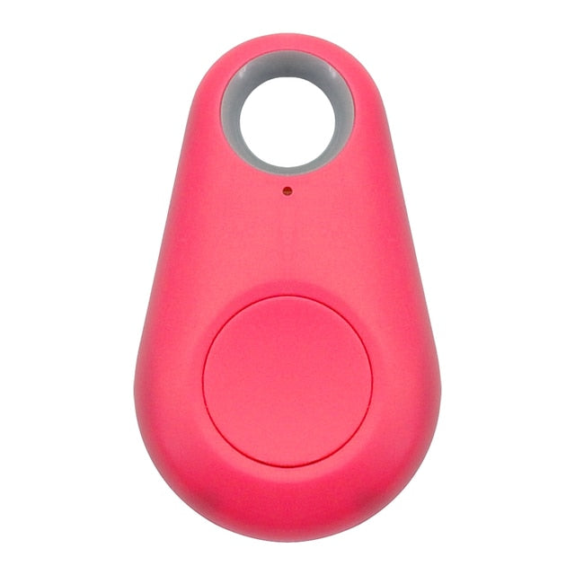 Pet GPS tag - PawFinder