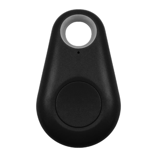Pet GPS tag - PawFinder