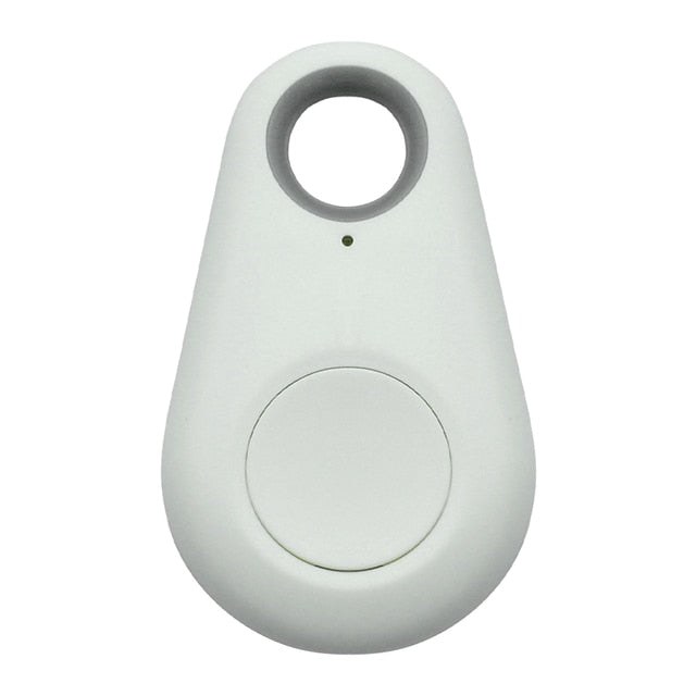 Pet GPS tag - PawFinder