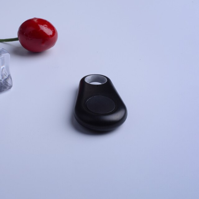 Pet GPS tag - PawFinder